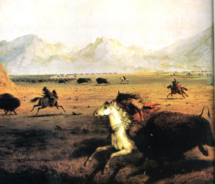 Buffalo.jpg (71774 bytes)