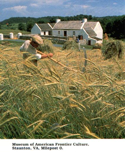 NIrelandhse.jpg (61390 bytes)