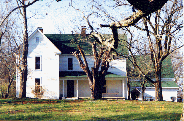 wpe1.gif (197539 bytes)